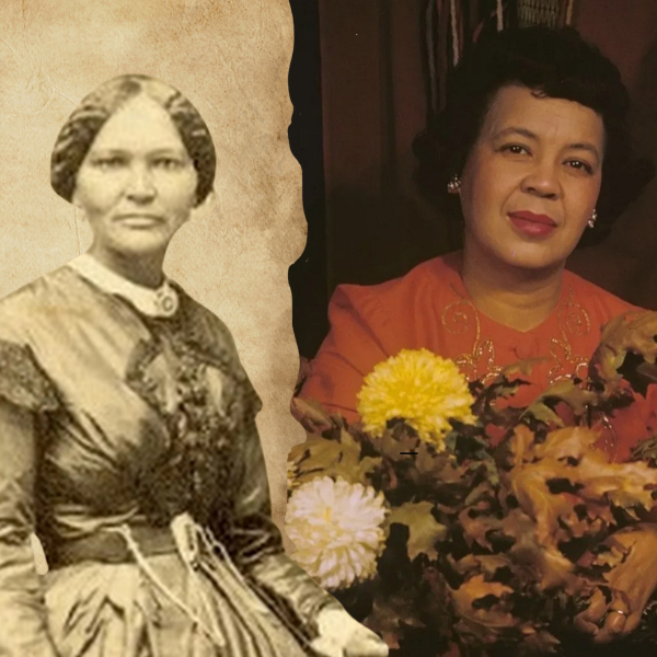 Bitter Laurel, by Margaret Bonds