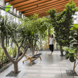 A Room full of plants
