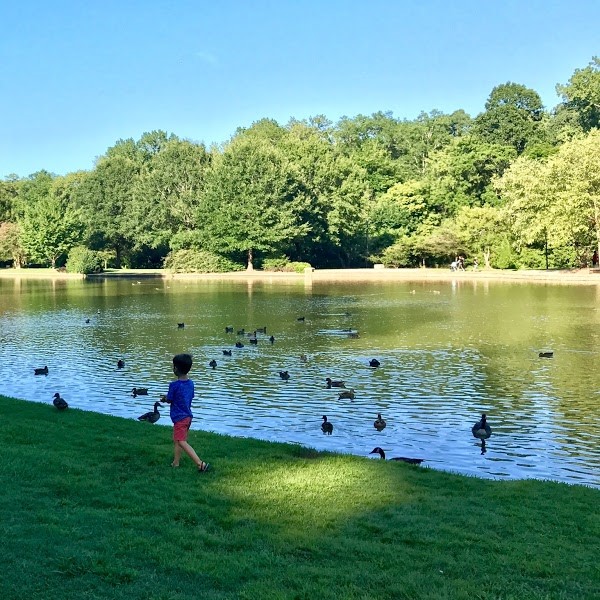 Get involved: Little Sugar Creek Cleanup at freedom park