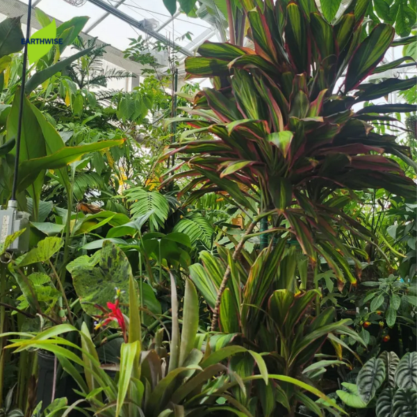 Tour: Open Hours at the Crowder Greenhouse